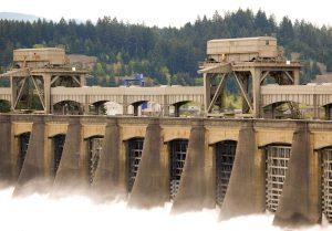 This picture of the Bonneville Dam is a project that the U.S. Army Corps of Engineers worked on in the 1930's.